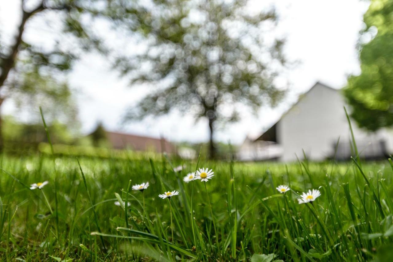 Nengshof Ferienwohnung Wildrose Wißmannsdorf Exterior foto